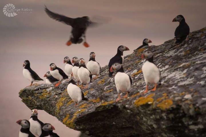 Skellig Port Accomodation - Sea View Rooms Ensuite Portmagee Luaran gambar