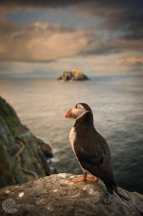 Skellig Port Accomodation - Sea View Rooms Ensuite Portmagee Luaran gambar