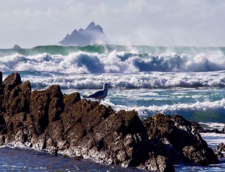 Skellig Port Accomodation - Sea View Rooms Ensuite Portmagee Luaran gambar